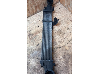 Интеркулер  A2115001102, 2115001102   Mercedes-Benz E W211 3.2