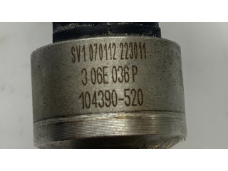 Vstřikovač 06E036P, 306E036P   Audi A6 C7  pro benzínový motor 3.0 CGX 