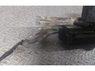 Интеркулер     Renault Thalia II 