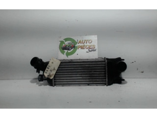 Интеркулер  00000384G9, 00000384G9   Citroen C5 