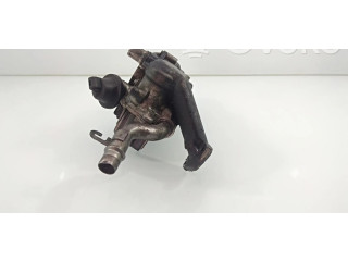 Клапан EGR 9602194080    Citroen Berlingo