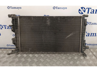 Панель приборов 214100002R, RA1562   Renault Megane III       