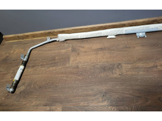 Боковая подушка безопасности 1Z9880742B, BAMPT11215   Skoda Octavia Mk2 (1Z)