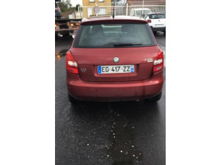 Блок управления климат-контролем NT Skoda Fabia Mk2 (5J)