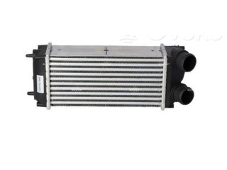 Интеркулер 0384H5 Peugeot 307