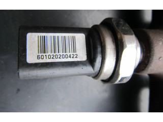 Топливная рампа 8200704212, H8200704217 Renault Scenic III - Grand scenic III