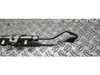 Топливная рампа 04E133320 Skoda Fabia Mk3 (NJ)