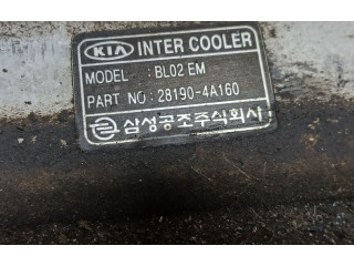 Интеркулер 281904A160, 281904A160 KIA Sorento