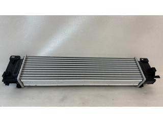 Интеркулер P8888784166, 33110102 Lynk & co 05 1.5