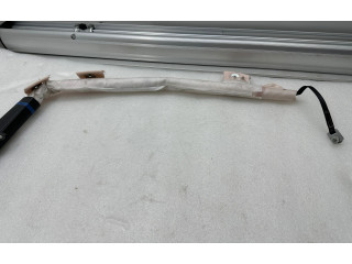 Боковая подушка безопасности 100526200C, 23120219   Tesla Model S