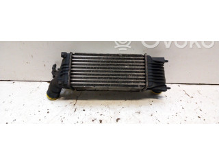 Интеркулер  00000384G9   Citroen C5 