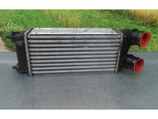Интеркулер 9800291280, IA2077 Citroen Berlingo 1.6