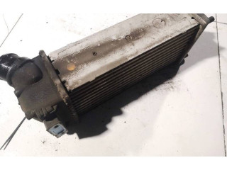 Интеркулер 9648851880, 876923je Citroen C4 I
