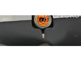 Надувная подушка для передней двери 8200236060AA    Renault Clio II   