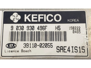 Řídící jednotka 9030930496F, 3911002055 KIA Picanto 2005
