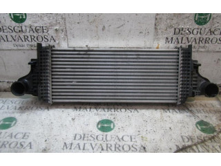 Интеркулер A2515000000 Mercedes-Benz R W251