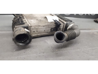 Интеркулер 880590XB Renault Clio III