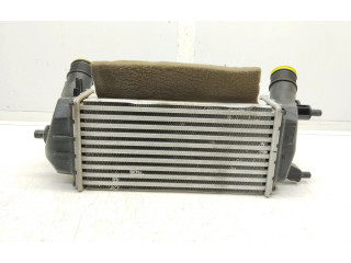 Интеркулер H1BG6K775AC Ford Ecosport