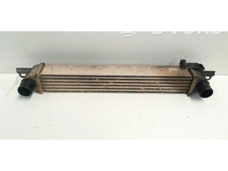 Интеркулер  L8119001   Citroen C5 