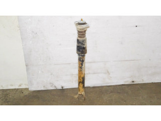 Задний aмортизатор      