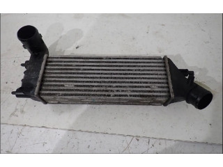 Интеркулер 00000384G0 Citroen C8