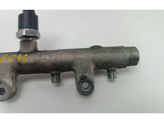 Топливная рампа 0445214019   Citroen C5   для двигателя RHZ