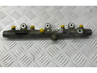 Vstřikovací lišta 0445214019, 016227 Peugeot 307