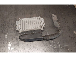 Řídící jednotka 96376653, S010011038 Chevrolet Aveo 2006