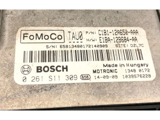 Řídící jednotka Ford Fiesta 2013