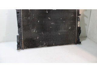 Радиатор охлаждающей жидкости Renault Twingo II