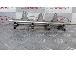 Топливная рампа 06J133317M, 1019139S02 Audi Q3 8U 2.0