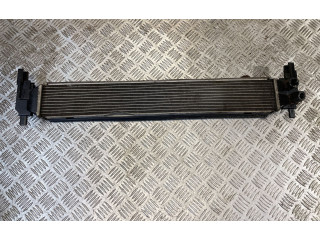 Интеркулер 6R0145805H, RA2078 Skoda Rapid (NH)