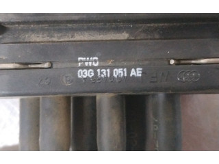 Блок управления 03G131051AE Volkswagen Jetta V