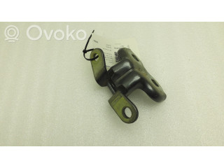 Передняя нижняя петля