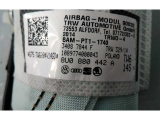 Подушка безопасности двери 8U0880442A, E2-A1-9-9   Audi Q3 8U