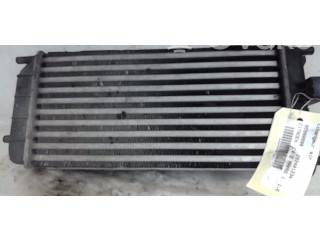 Радиатор интеркулера 00000384N9 Citroen C4 II