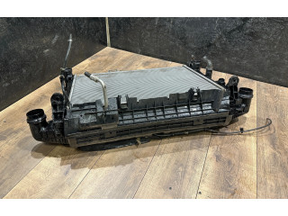 Pojistková skříňka Комплект радиатора 67167, 048222 Mercedes-Benz C W204 2012