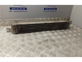 Интеркулер     Opel Meriva A 