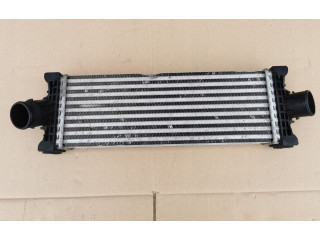 Интеркулер GK216K775AEBAXX, GK216K775AEBAXX Ford Transit Custom