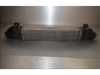 Интеркулер  2205000000   Mercedes-Benz E W210 