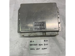 Řídící jednotka 2205450532, 308886 Mercedes-Benz E W211 2003