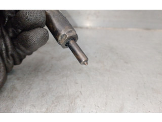 Форсунка 9655304880, SIEMENS Citroen C2 8HX