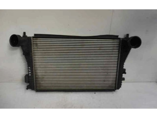 Интеркулер Skoda Octavia Mk2 (1Z)