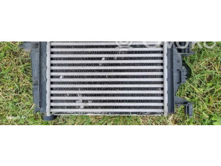 Интеркулер     Dacia Sandero III 