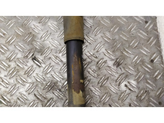 Задний aмортизатор      