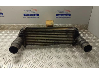 Интеркулер Ford Transit - Tourneo Connect