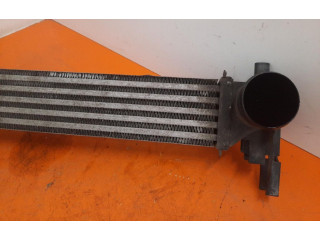 Радиатор интеркулера Skoda Fabia Mk2 (5J)