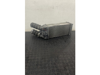 Интеркулер Citroen Berlingo