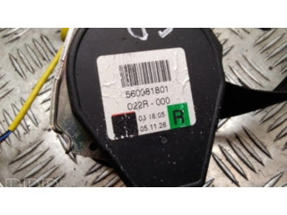 Задний ремень безопасности