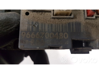 Блок комфорта 9666700480, R05 Citroen Berlingo